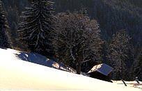 Pension Jordan Kirchberg in Tirol Bagian luar foto